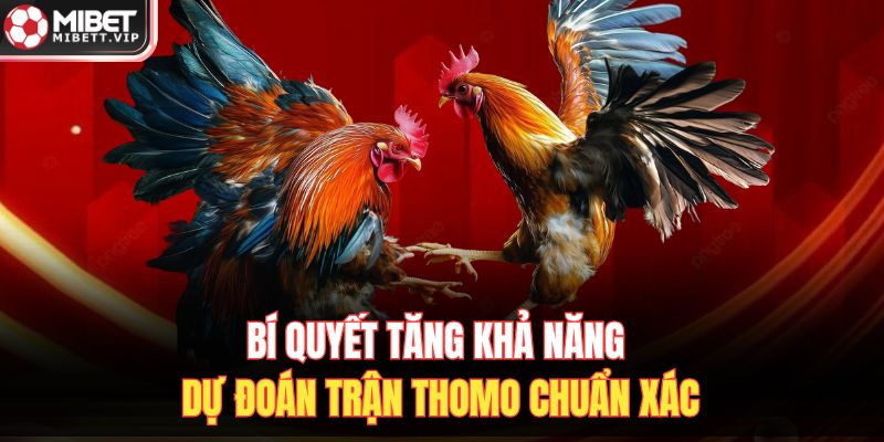 Bí quyết tăng khả năng dự đoán trận Thomo chuẩn xác
