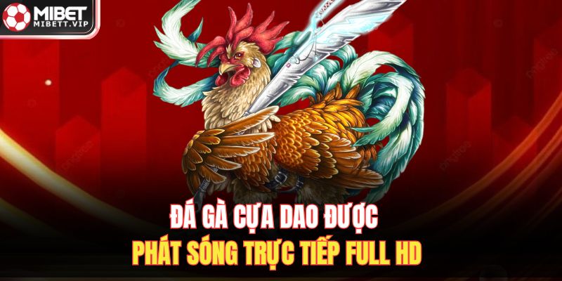 Đá gà cựa dao được phát sóng trực tiếp Full HD