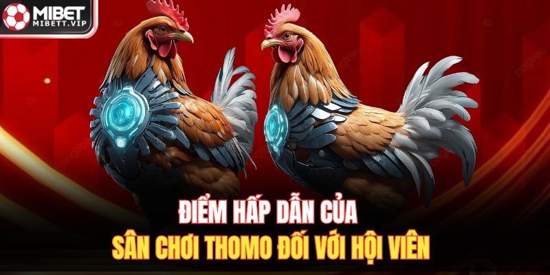 Điểm hấp dẫn của sân chơi Thomo đối với hội viên