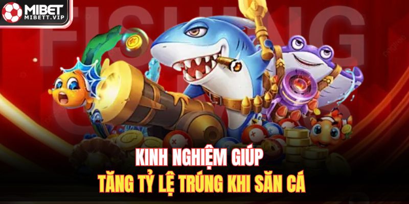 Kinh nghiệm giúp tăng tỷ lệ trúng khi săn cá