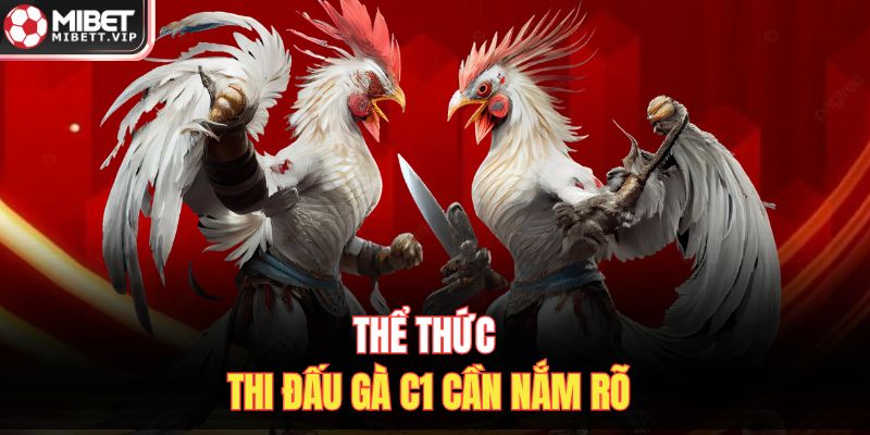 Thể thức thi đấu gà C1 cần nắm rõ