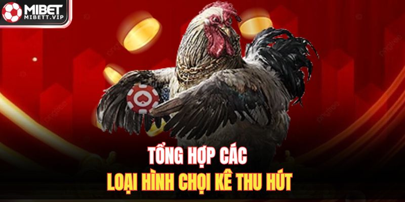 Tổng hợp các loại hình chọi kê thu hút
